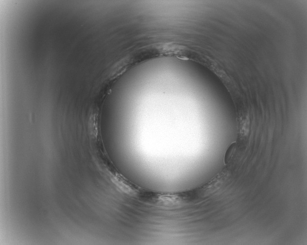 X0000069410666200605262210