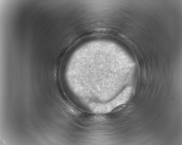 X0000069410668200605262210