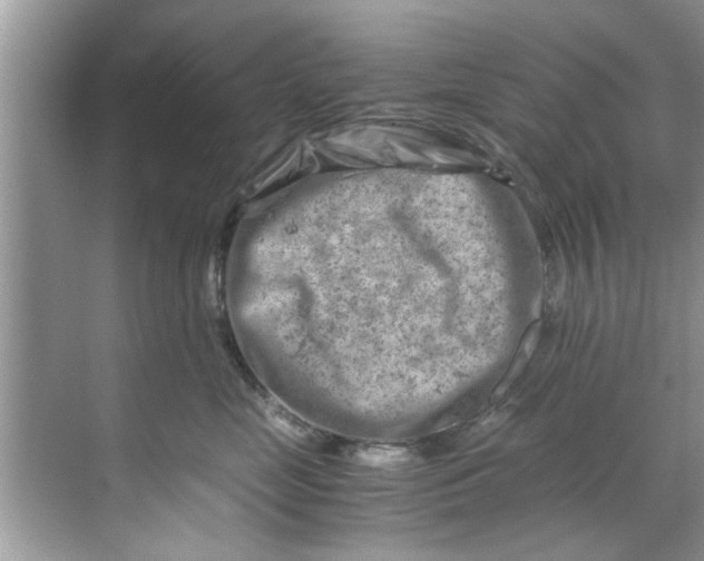 X0000069410669200605262210