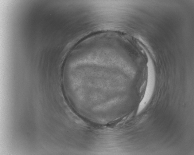 X0000069410673200605262210