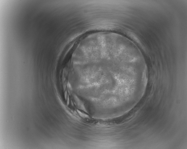 X0000069410677200605262210