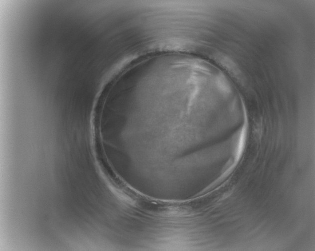 X0000069410678200605262209