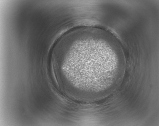 X0000069410679200605262209