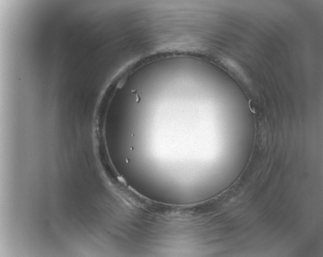 X0000069410680200605262209