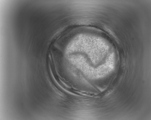 X0000069410681200605262209