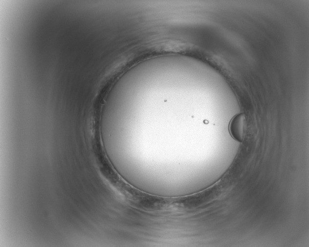 X0000069410683200605262209