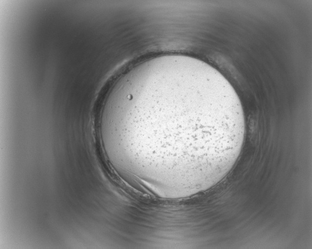 X0000069410684200605262209