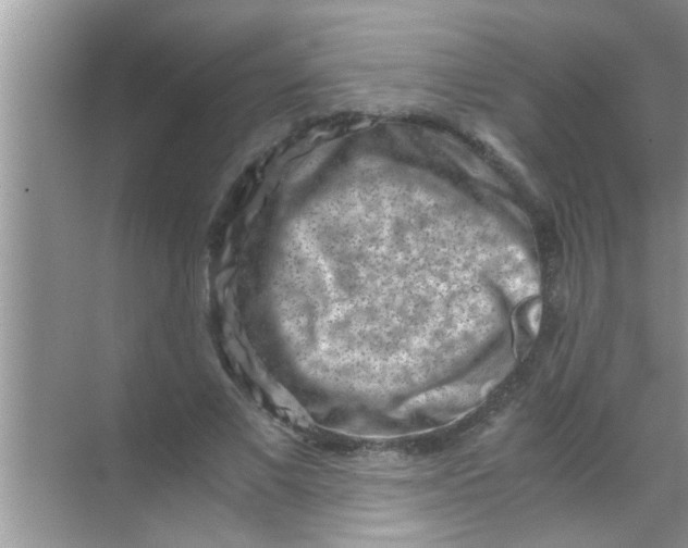 X0000069410685200605262209