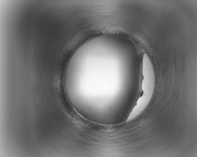 X0000069410687200605262209