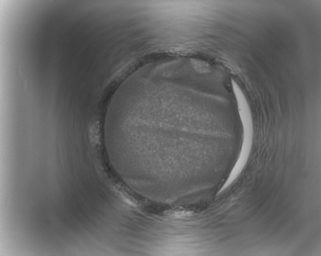 X0000069410689200605262209