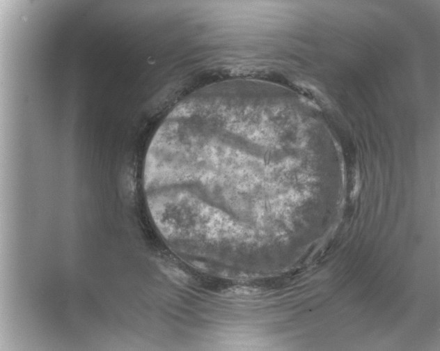 X0000069410691200605262209