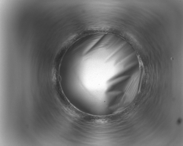 X0000069410692200605262209