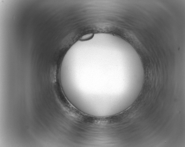 X0000069410694200605262209