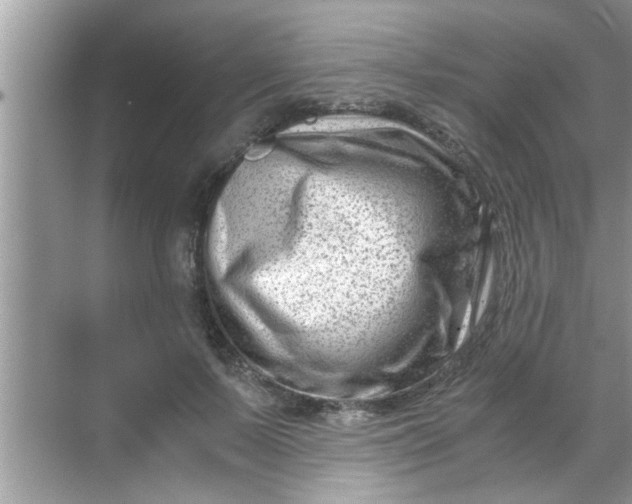 X0000069410695200605262209