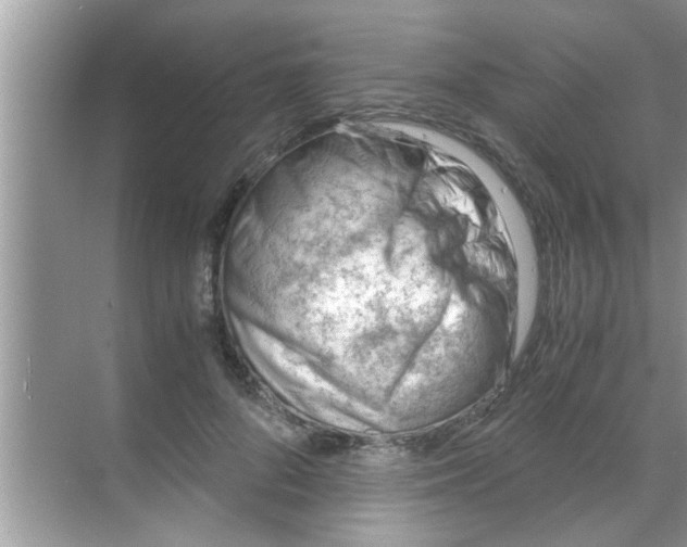 X0000069410696200605262209