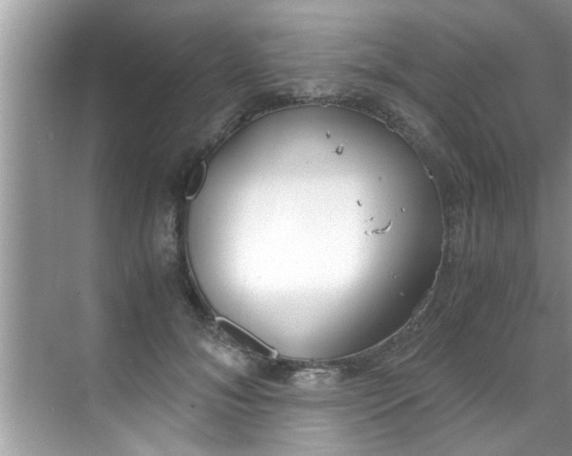 X0000069410700200605262209