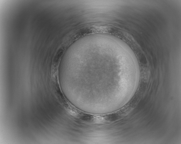 X0000069410701200605262209