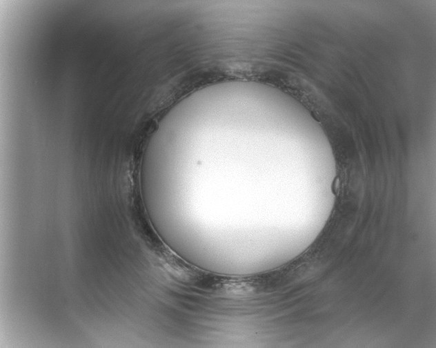 X0000069410702200605262209