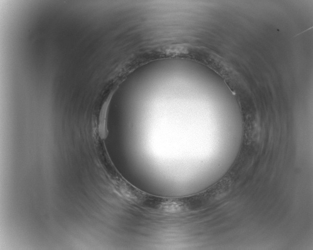 X0000069410704200605262209