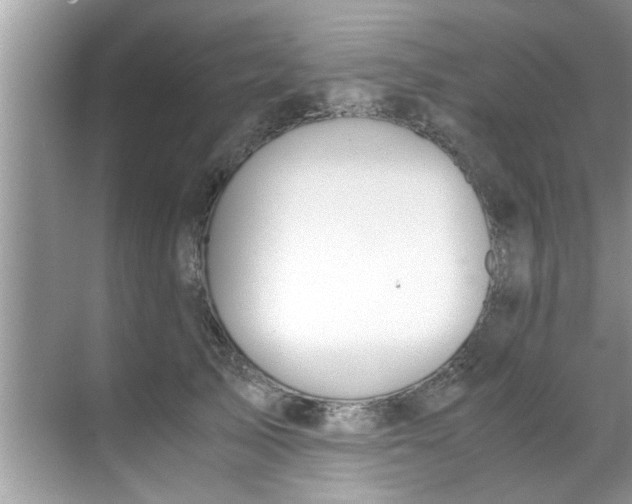 X0000069410705200605262209