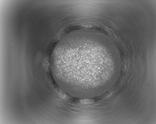 X0000069410707200605262209