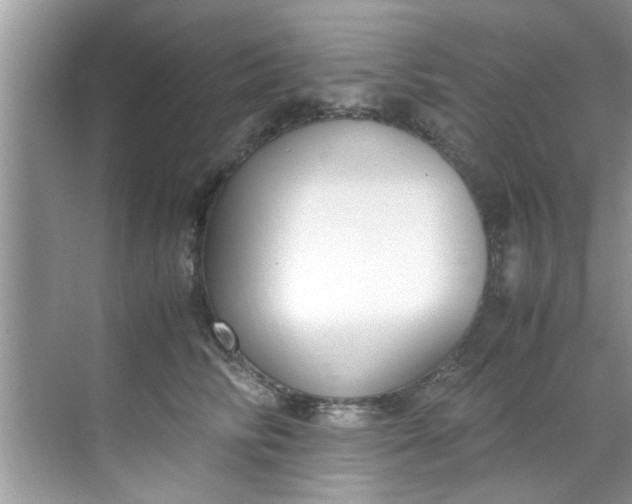 X0000069410710200605262209