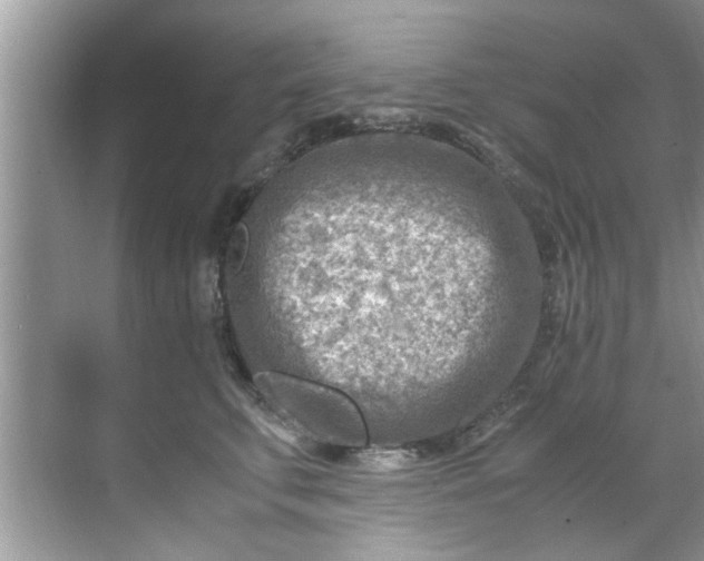 X0000069410711200605262209