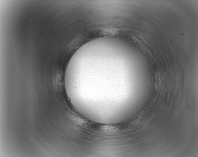 X0000069410714200605262209