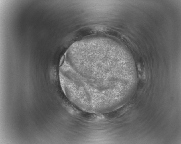 X0000069410715200605262209