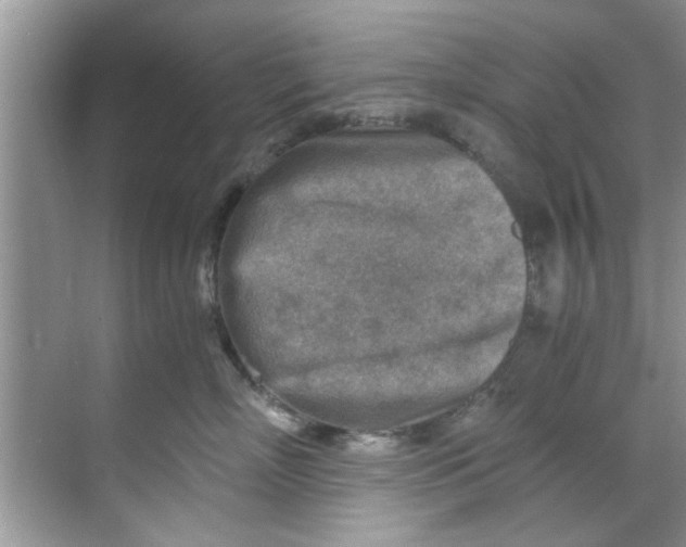 X0000069410718200605262209