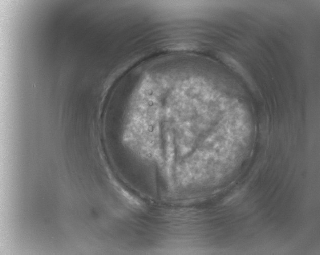 X0000069410721200605262208