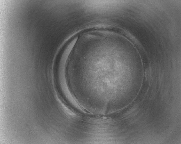 X0000069410722200605262208