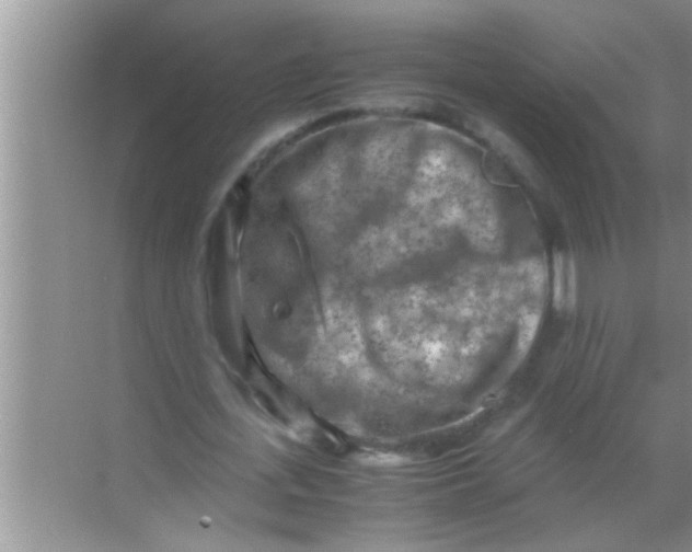 X0000069410723200605262208