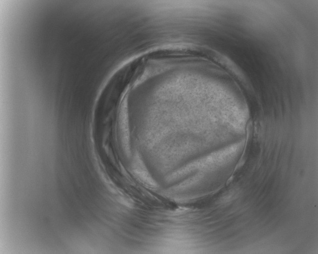 X0000069410724200605262208