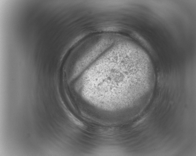 X0000069410725200605262208