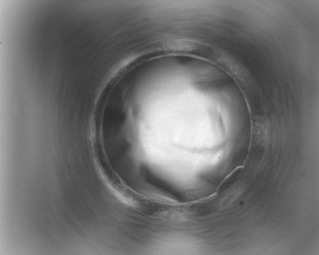 X0000069410726200605262208