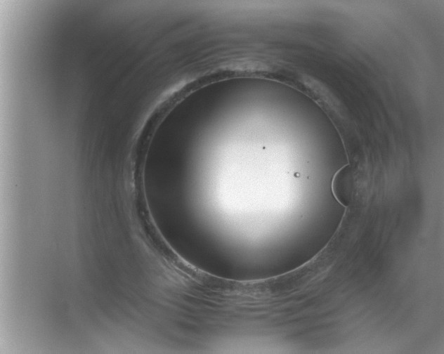 X0000069410727200605262208