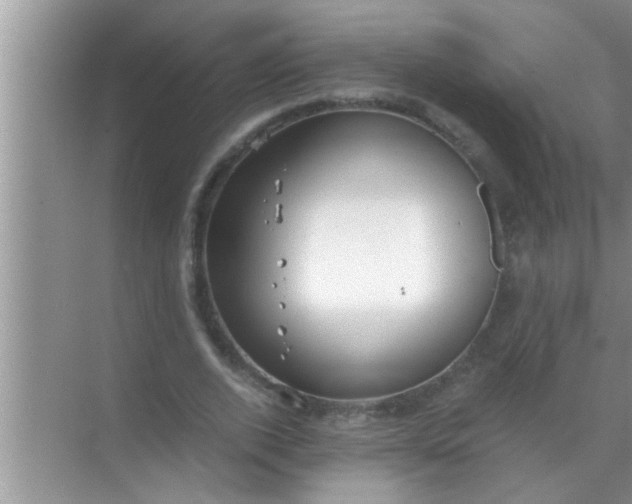 X0000069410728200605262208