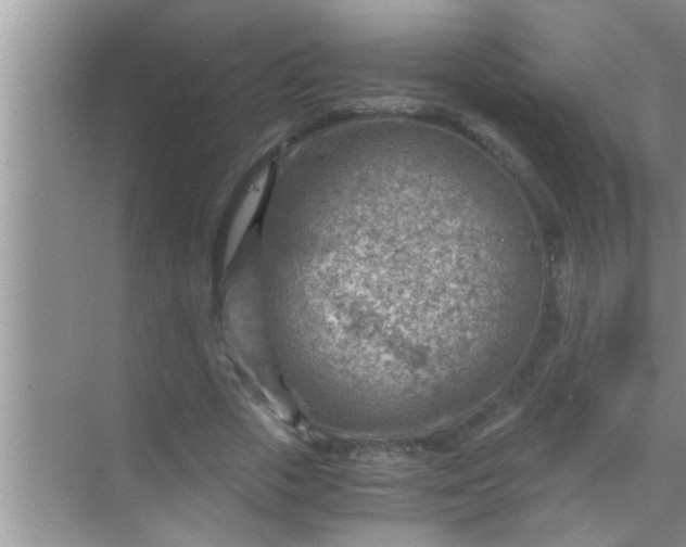 X0000069410729200605262208