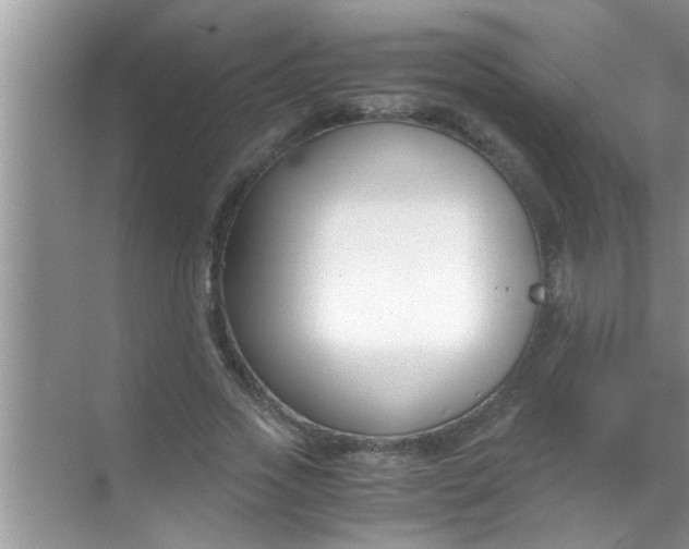 X0000069410733200605262208