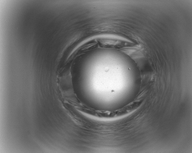 X0000069410735200605262208