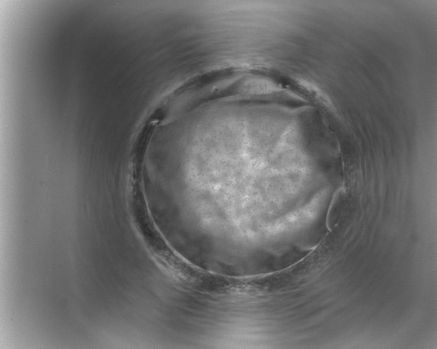 X0000069410736200605262208