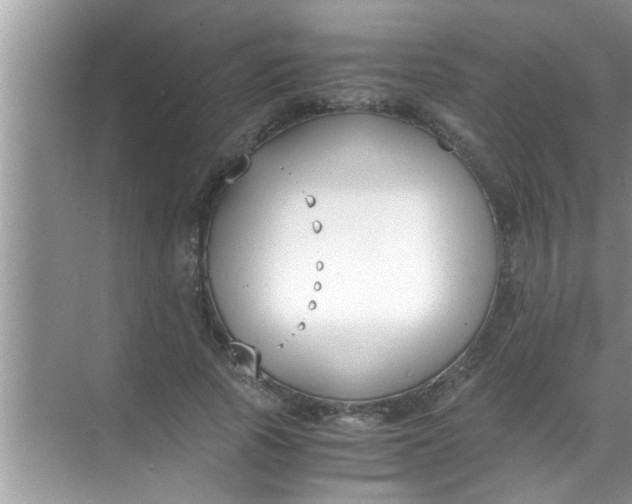 X0000069410737200605262208