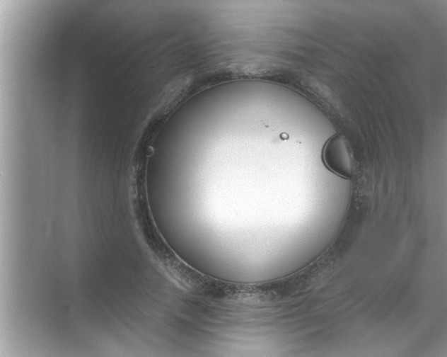 X0000069410738200605262208