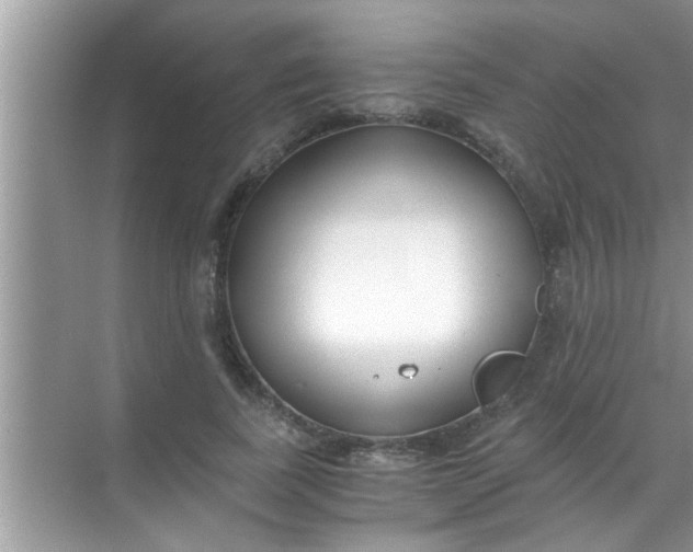 X0000069410739200605262208