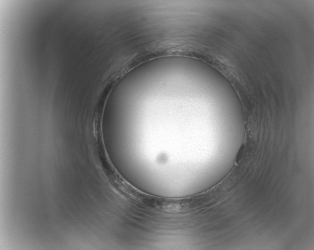 X0000069410740200605262208