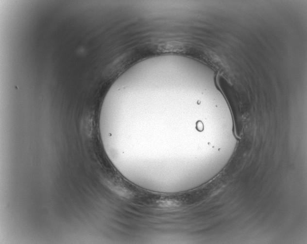 X0000069410741200605262208