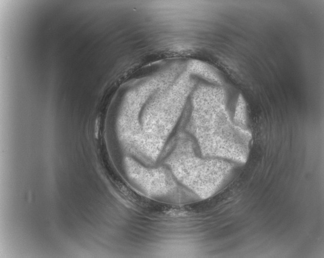 X0000069410742200605262208