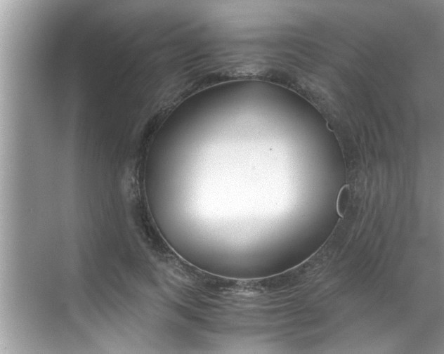 X0000069410743200605262208