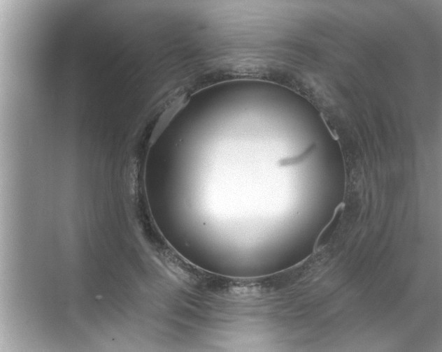 X0000069410744200605262208